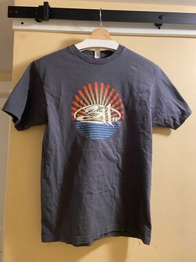 311 Graphic T-Shirt in Charcoal with Sunset Print